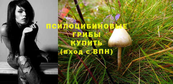прущая мука Бородино