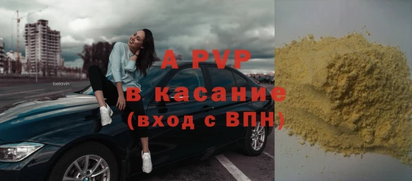 прущие грибы Архангельск
