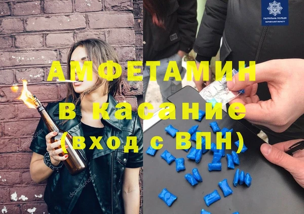 индика Нижний Тагил