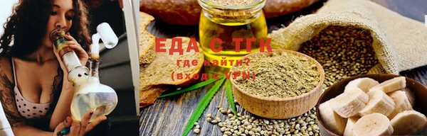 индика Нижний Тагил