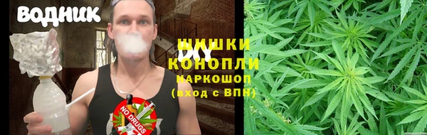 прущая мука Бородино