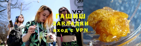 прущие грибы Архангельск